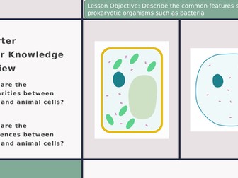 Edexcel IGCSE Biology Section 1 Lesson 5 Bacteria