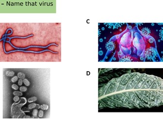 Edexcel IGCSE Biology Section 1 Lesson 6 Viruses