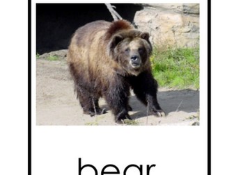 Hook Lesson We are going on a bear hunt.