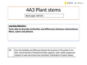 PLANT STEMS IAL EDEXCEL