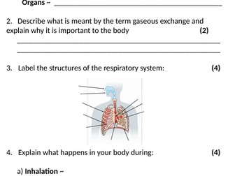 Worksheets practice for chapter 1 activate book