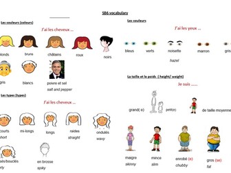 y7 SB6- Tu es comment physiquement? a set of 4 lessons to describe hair and eyes