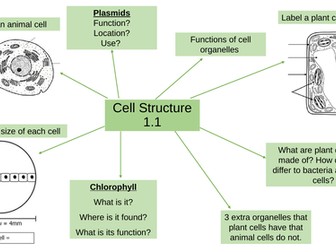 Mindmap Recap National 5 Biology Cell Structure 1.1