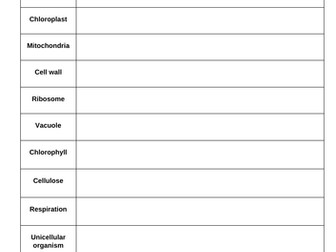 Cell 1.1 Summary Glossary