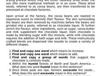 Year 6 How chocolate is made short comprehension