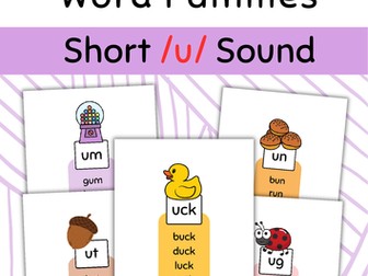 Phonics. Word Families Short /u/ Sound Reading cards.
