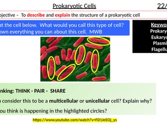 GCSE AQA B1 Prokaryotic Cells