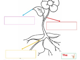 Labelling parts of a plant