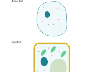 Plant and Animal Cells