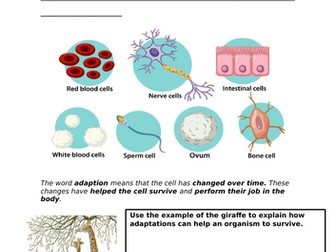 Specialized Cells