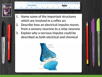 Homeostasis - separate science lessons