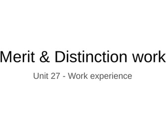 Unit 27 Business BTEC Work Experience - Merit & Distinction PPT