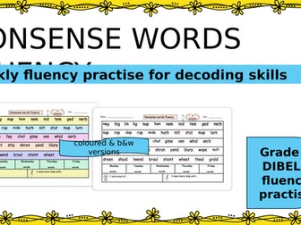 NONSENSE words fluency check Grade 3, DIBELS words