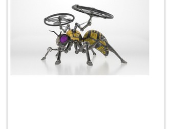 Insectoid Robots