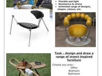 Insect Furniture