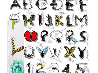Insect Signs and lettering
