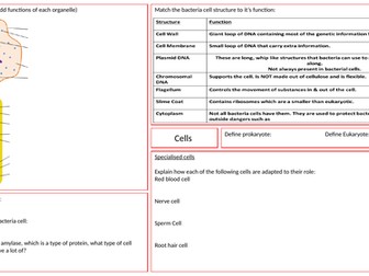 Cells Revision Mat