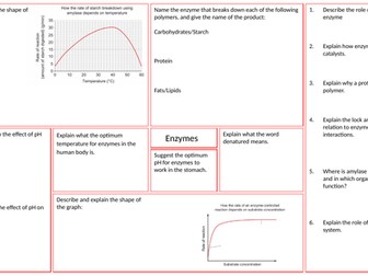 Enzymes Revision Mat