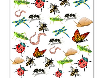 Minibeasts counting handout