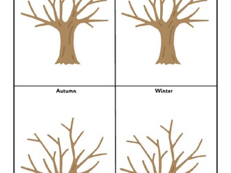 A Tree in Each Season
