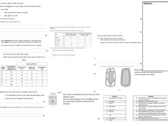 IGCSE CIE A3 Exam sheet - Movement in Cells