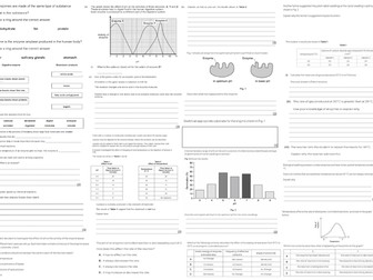 IGCSE CIE A3 Exam sheet - Enzymes