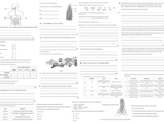 IGCSE CIE A3 Exam sheet - Animal Nutrition