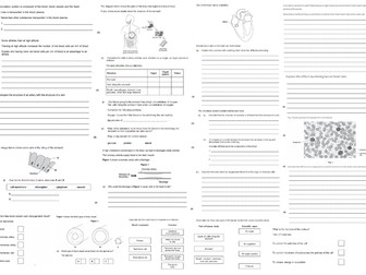 IGCSE CIE A3 Exam sheet - Animal Transport