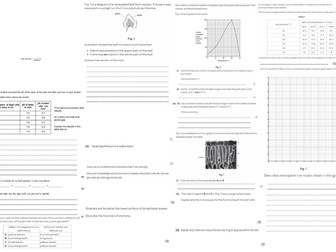 IGCSE CIE A3 Exam sheet - Plant Nutrition