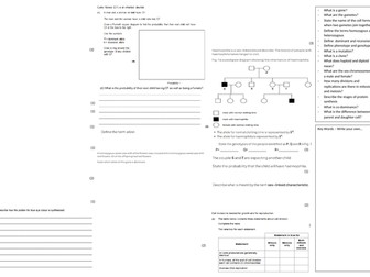 IGCSE CIE A3 Exam sheet - Inheritance