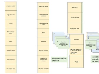End of Topic Revision: Circulation and Immunity IGCSE