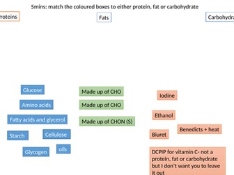 End of Topic Revision: Human Nutrition IGCSE