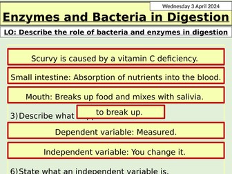 KS3 Biology: Bacteria and Enzymes in Digestion