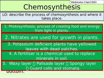 KS3 Biology: Chemosynthesis