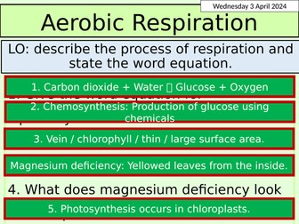 KS3 Biology: Aerobic Respiration