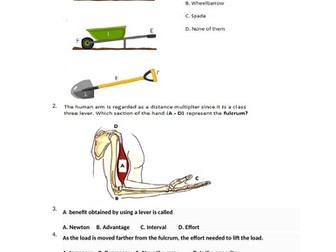 Examination/Test  papers for year 8 and 9 students (kS3)