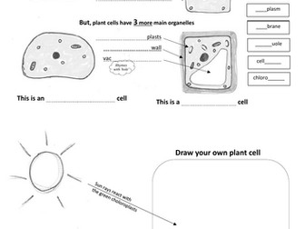 Differences in plant & animal cells SEN