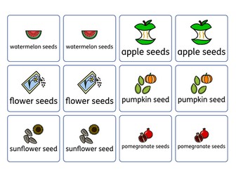Seed Symbols