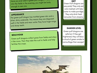 Dragon Fact File