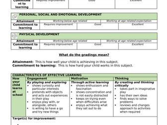 Nursery End of the Year Report to parents