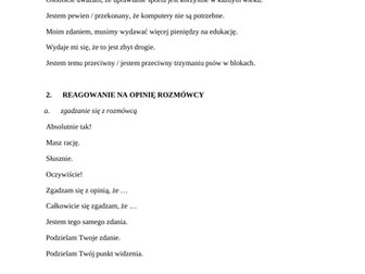 Wyrażanie opinii - słownictwo