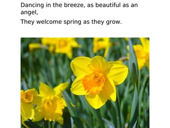 Daffodil Poem T4W