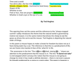 GCSE ENGLISH LITERATURE revision notes "CAT AND MOUSE" Ted Hughes