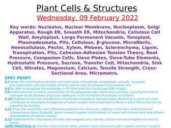 Edexcel (SNAB) A-level Topic 4 Notes