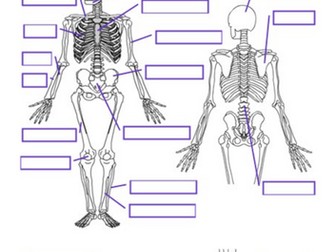 AQA GCSE PE Paper 1 Knowledge Checkers