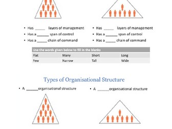 GCSE Organisational Structures