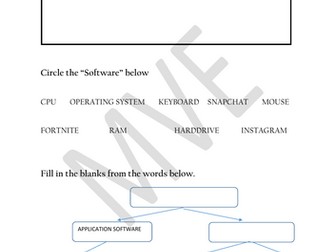 Computer Software worksheet