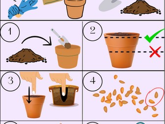 Seed Sowing Picture Guide