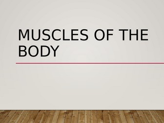 Muscles of the body