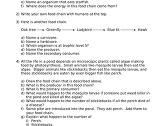 IGCSE Food chain worksheet